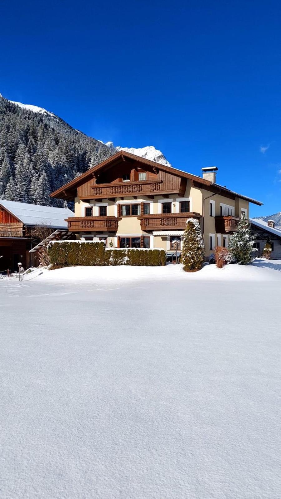 Haus Bergfreund Apartment *