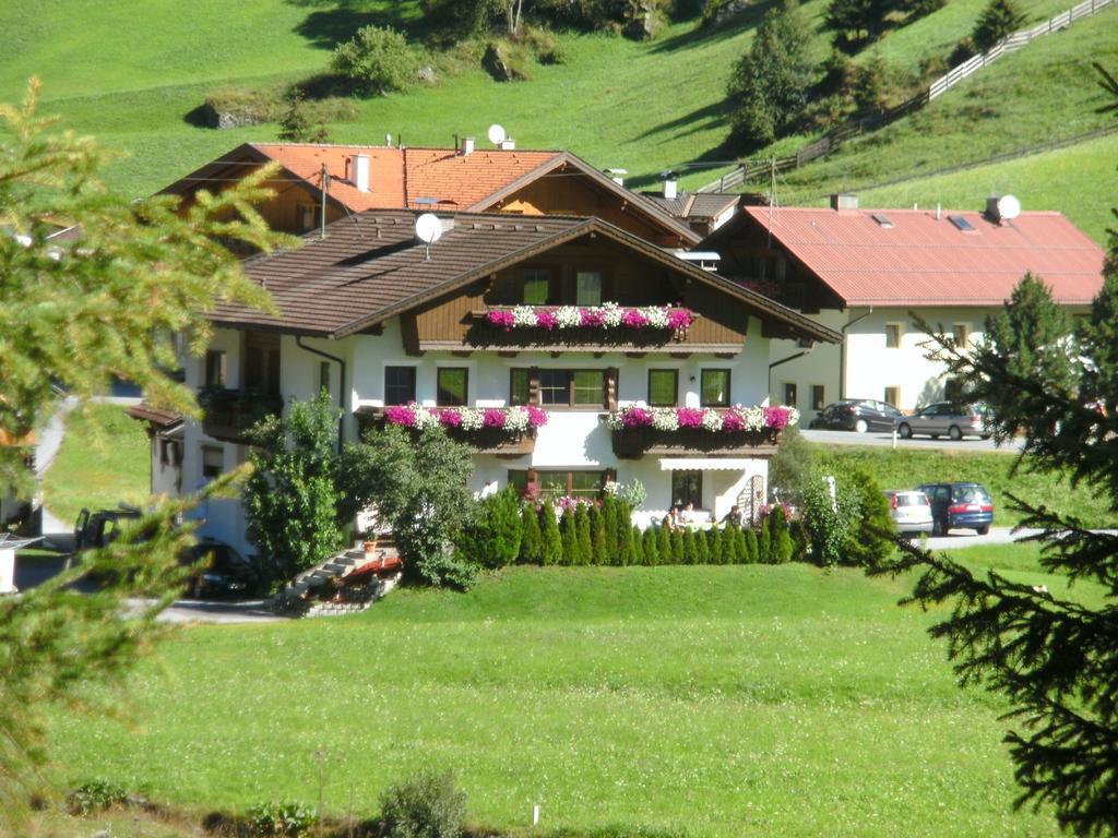 Apartment Haus Bergfreund Sankt Leonhard im Pitztal