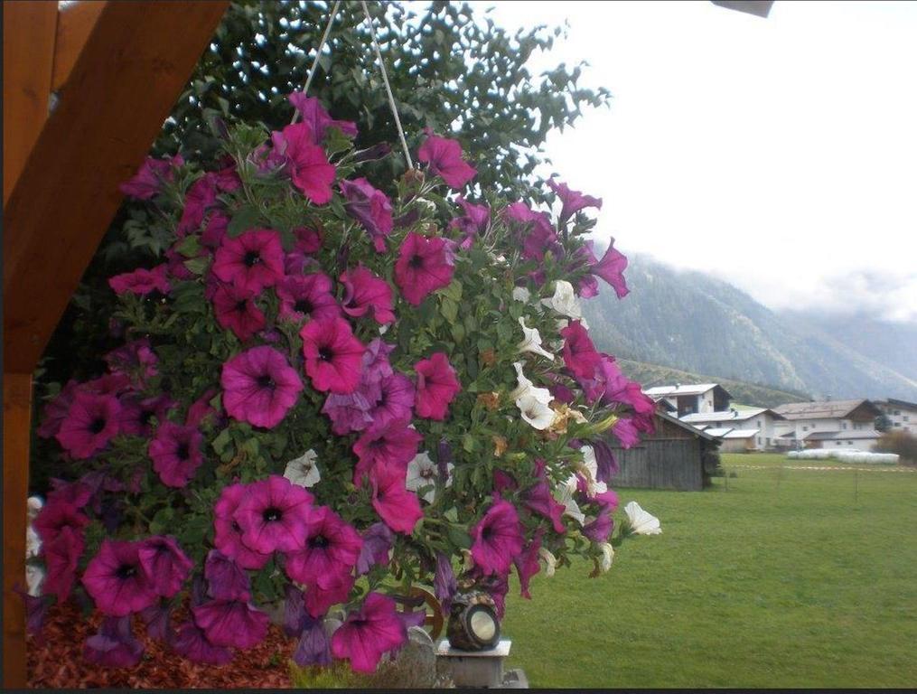 Apartment Haus Bergfreund *
