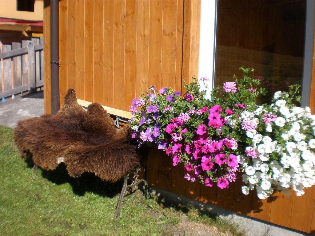Appartement Haus Bergfreund